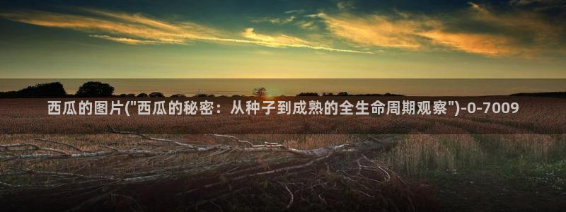 爱的色放西瓜影院