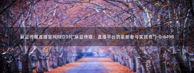麻豆麻豆个传媒官网app黄：麻豆传媒直播官网RED35(\