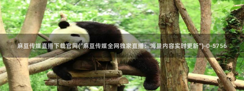 麻豆自制传媒 官网：麻豆传媒直播下载官网(\