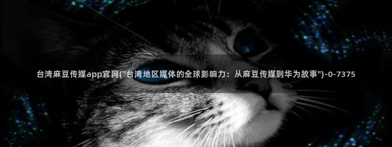 麻豆91传媒官网：台湾麻豆传媒app官网(\