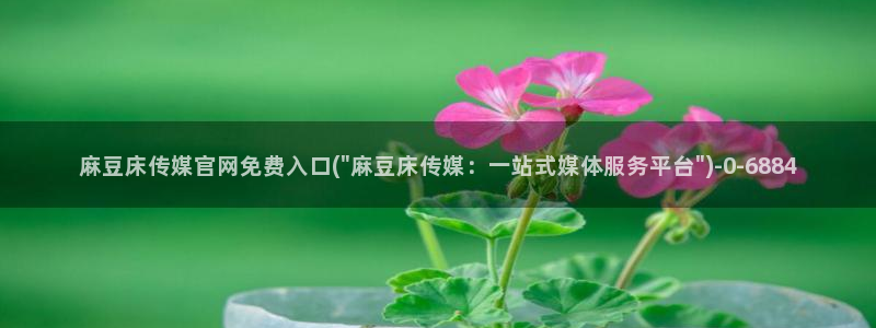 麻豆传媒自制官网：麻豆床传媒官网免费入口(\