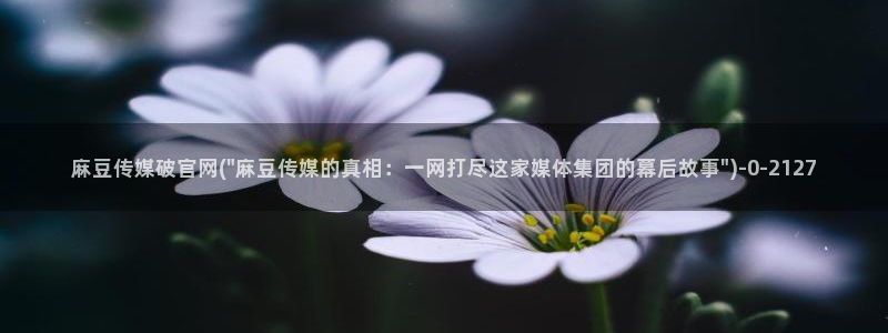 麻豆短传媒app官网：麻豆传媒破官网(\