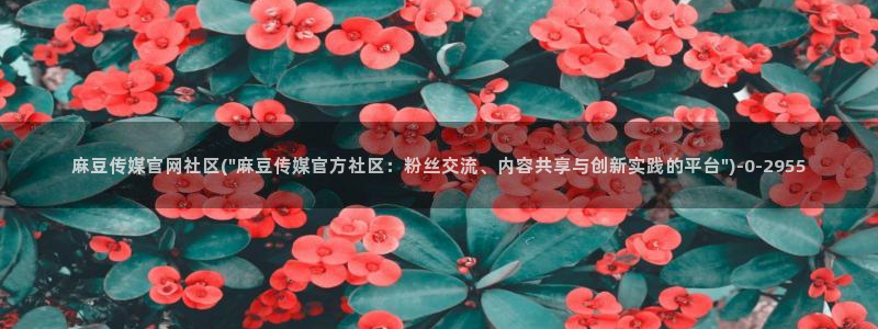 麻豆传媒视官网：麻豆传媒官网社区(\