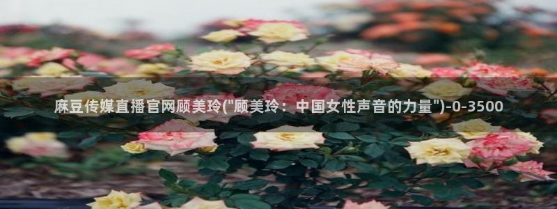 麻豆斤传媒官网