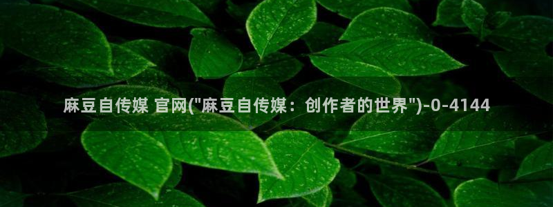 麻豆传媒国产之光官网