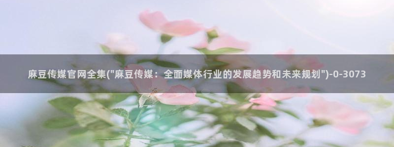 麻豆成人传媒官网