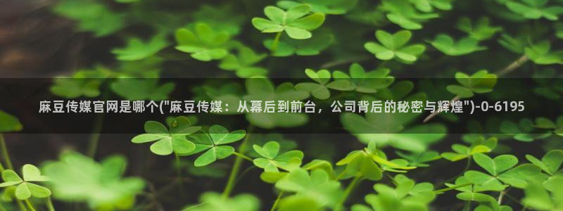 麻豆传媒官网入口：麻豆传媒官网是哪个(\