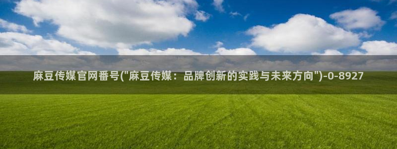 麻豆传媒画映官网观看