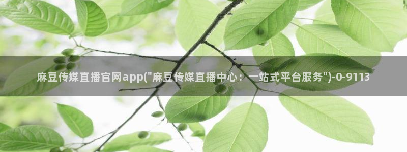 mdpub麻豆传媒官网pub