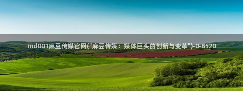 麻豆传媒眏画官网