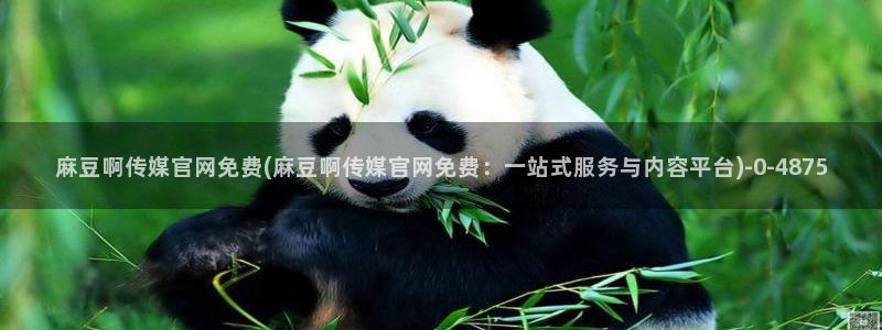 麻豆传媒官网是多少
